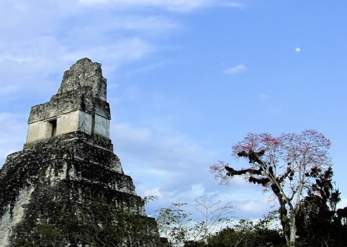 The Maya civilization thrived for 4,000 years, shaping Mesoamerican history with advanced architecture, agriculture, and culture. Explore their legacy today!